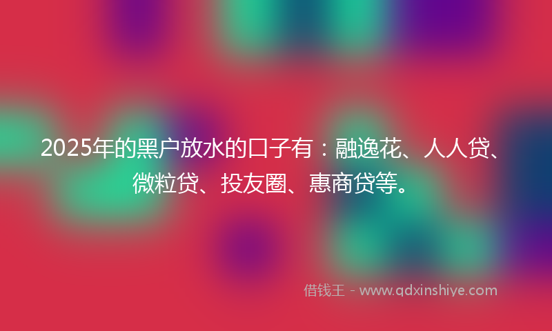 2025年的黑户放水的口子有：融逸花、人人贷、微粒贷、投友圈、惠商贷等。