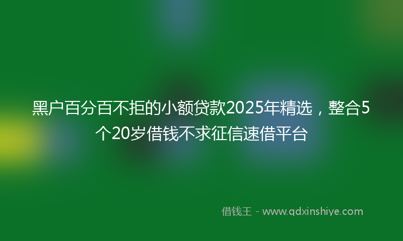 黑户百分百不拒的小额贷款2025年精选，整合5个20岁借钱不求征信速借平台