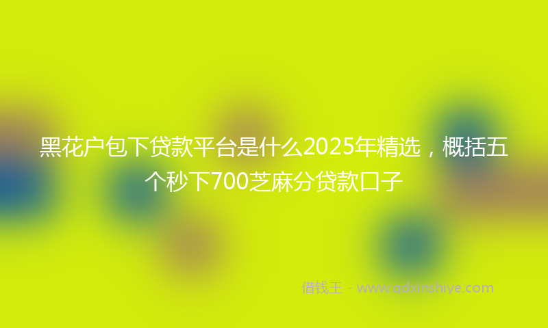 黑花户包下贷款平台是什么2025年精选，概括五个秒下700芝麻分贷款口子