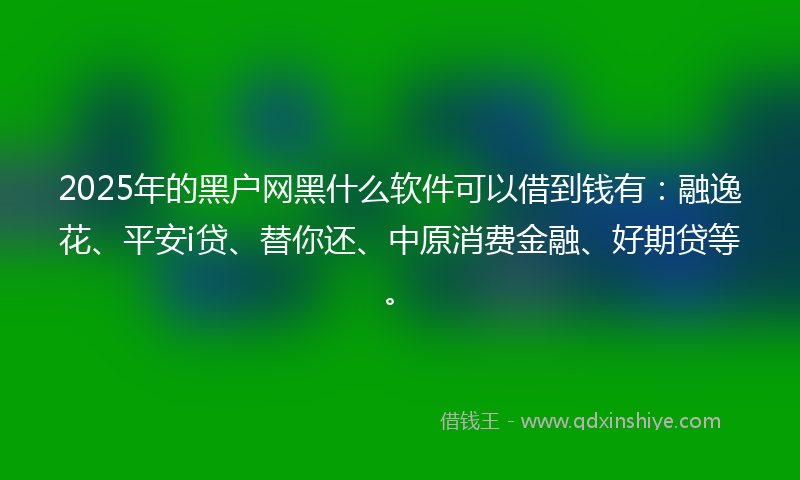 2025年的黑户网黑什么软件可以借到钱有：融逸花、平安i贷、替你还、中原消费金融、好期贷等。