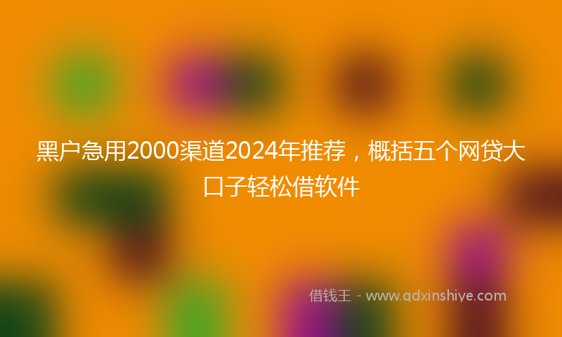黑户急用2000渠道2024年推荐，概括五个网贷大口子轻松借软件