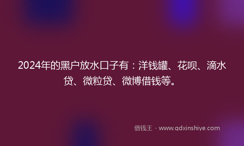 2024年的黑户放水口子有：洋钱罐、花呗、滴水贷、微粒贷、微博借钱等。