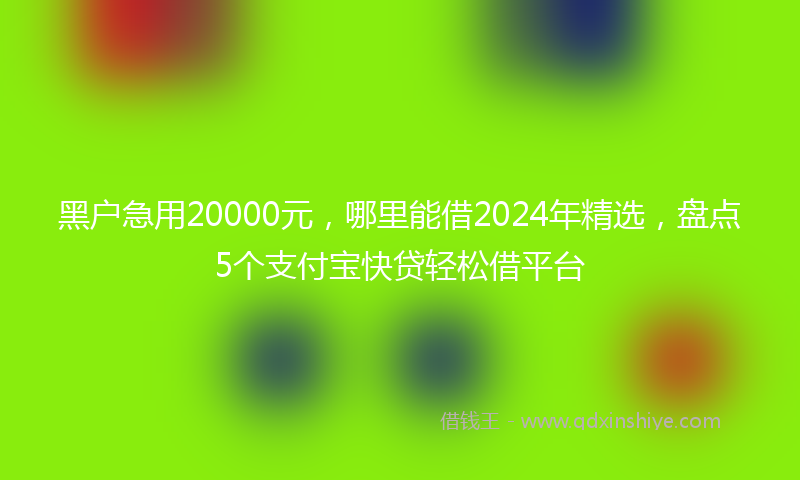 黑户急用20000元，哪里能借2024年精选，盘点5个支付宝快贷轻松借平台
