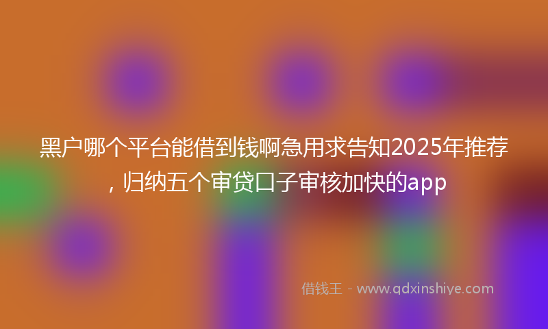 黑户哪个平台能借到钱啊急用求告知2025年推荐，归纳五个审贷口子审核加快的app
