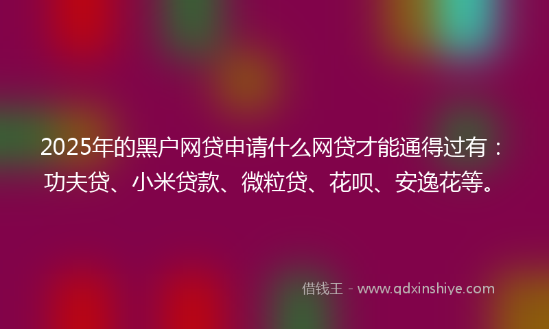 2025年的黑户网贷申请什么网贷才能通得过有：功夫贷、小米贷款、微粒贷、花呗、安逸花等。