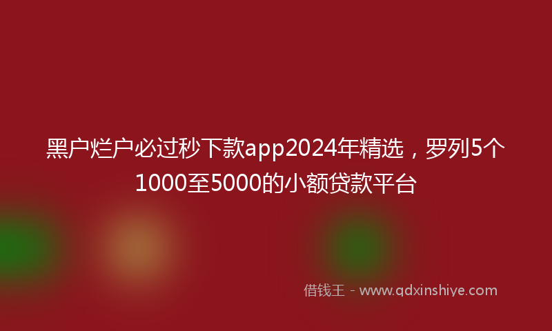 黑户烂户必过秒下款app2024年精选，罗列5个1000至5000的小额贷款平台