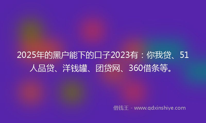 2025年的黑户能下的口子2023有：你我贷、51人品贷、洋钱罐、团贷网、360借条等。