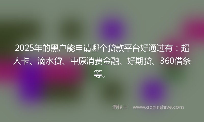 2025年的黑户能申请哪个贷款平台好通过有：超人卡、滴水贷、中原消费金融、好期贷、360借条等。