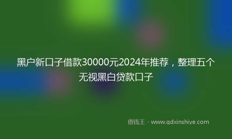 黑户新口子借款30000元2024年推荐，整理五个无视黑白贷款口子