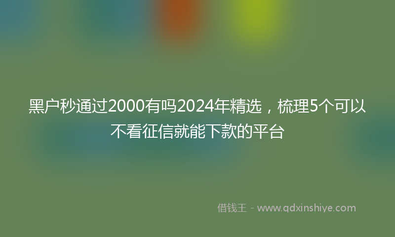 黑户秒通过2000有吗2024年精选，梳理5个可以不看征信就能下款的平台