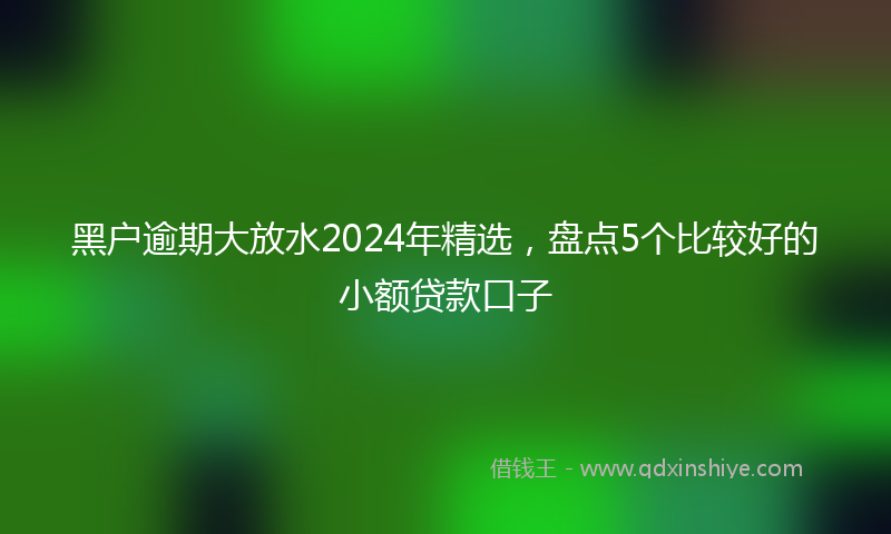 黑户逾期大放水2024年精选，盘点5个比较好的小额贷款口子