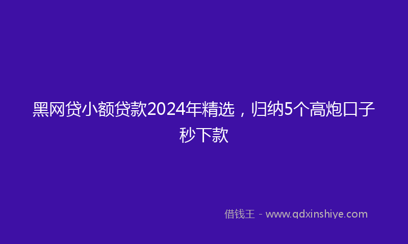 黑网贷小额贷款2024年精选，归纳5个高炮口子秒下款