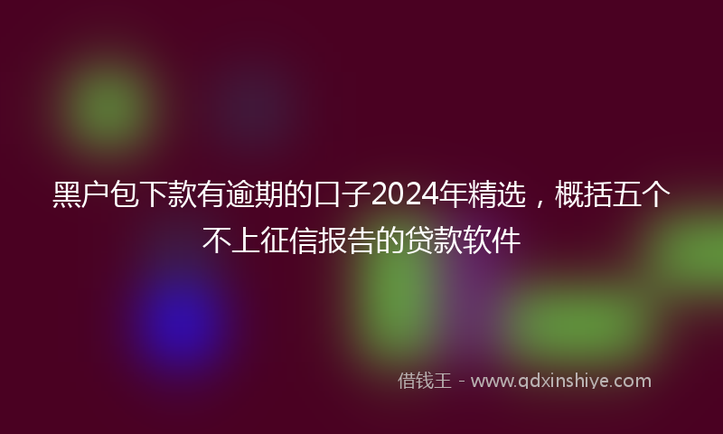 黑户包下款有逾期的口子2024年精选，概括五个不上征信报告的贷款软件