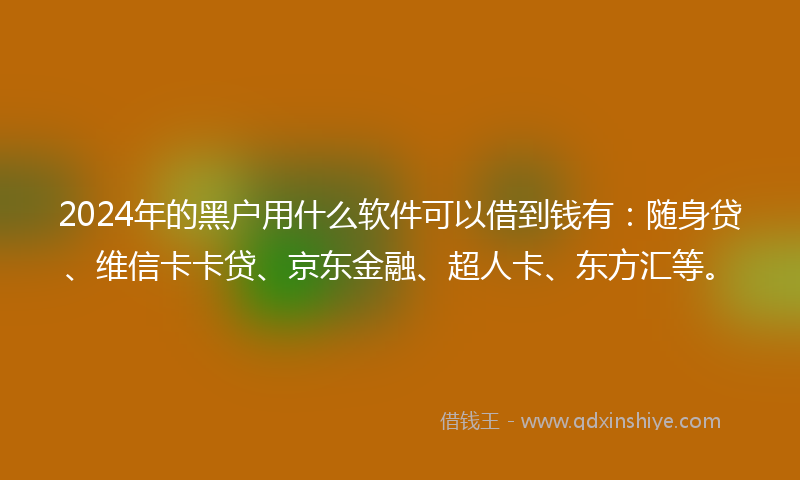 2024年的黑户用什么软件可以借到钱有：随身贷、维信卡卡贷、京东金融、超人卡、东方汇等。