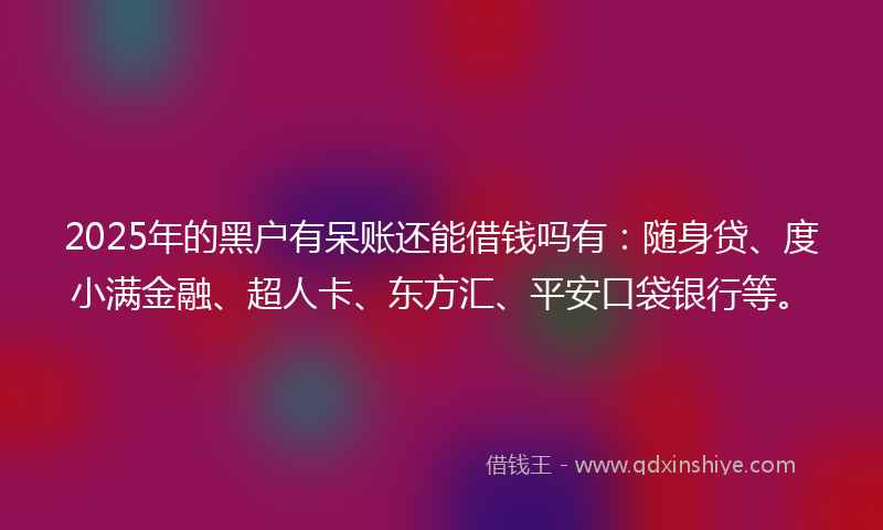 2025年的黑户有呆账还能借钱吗有：随身贷、度小满金融、超人卡、东方汇、平安口袋银行等。