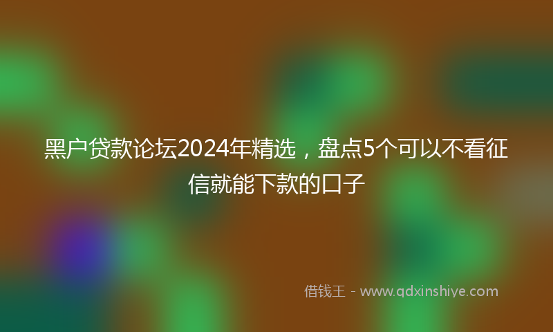 黑户贷款论坛2024年精选，盘点5个可以不看征信就能下款的口子