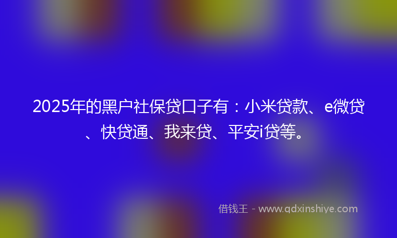 2025年的黑户社保贷口子有：小米贷款、e微贷、快贷通、我来贷、平安i贷等。