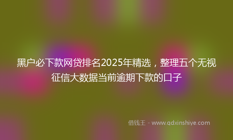 黑户必下款网贷排名2025年精选，整理五个无视征信大数据当前逾期下款的口子