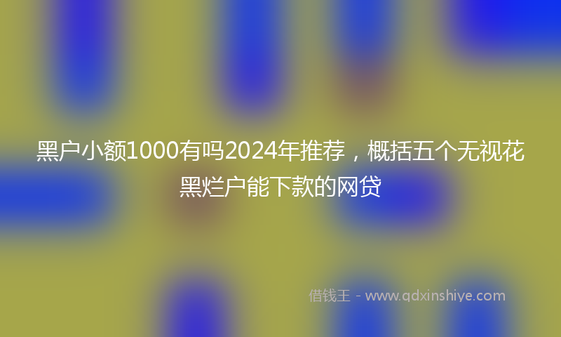 黑户小额1000有吗2024年推荐，概括五个无视花黑烂户能下款的网贷