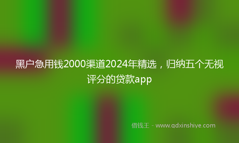 黑户急用钱2000渠道2024年精选，归纳五个无视评分的贷款app