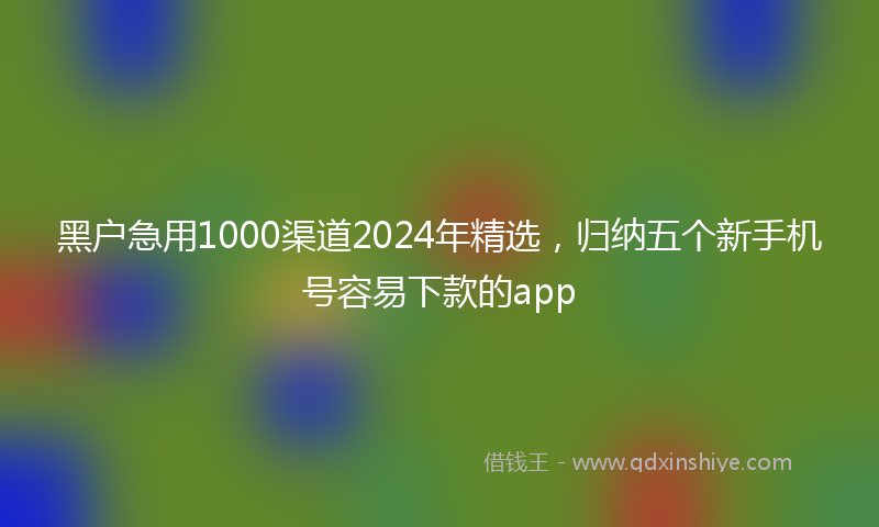 黑户急用1000渠道2024年精选，归纳五个新手机号容易下款的app