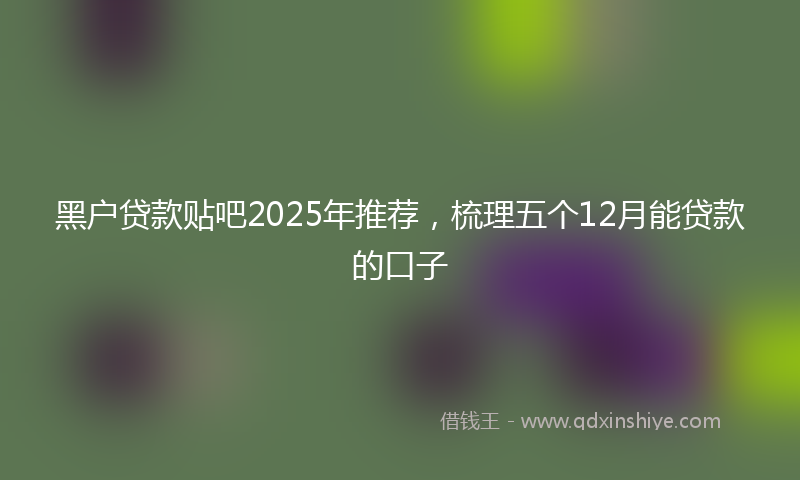 黑户贷款贴吧2025年推荐，梳理五个12月能贷款的口子