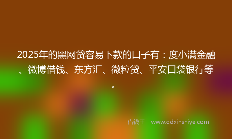 2025年的黑网贷容易下款的口子有：度小满金融、微博借钱、东方汇、微粒贷、平安口袋银行等。