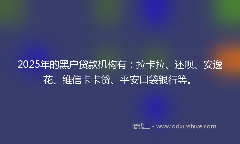 2025年的黑户贷款机构有：拉卡拉、还呗、安逸花、维信卡卡贷、平安口袋银行等。