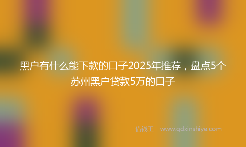 黑户有什么能下款的口子2025年推荐，盘点5个苏州黑户贷款5万的口子