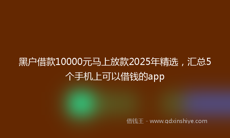 黑户借款10000元马上放款2025年精选，汇总5个手机上可以借钱的app