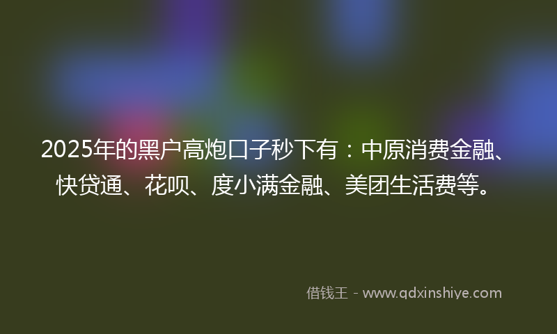 2025年的黑户高炮口子秒下有：中原消费金融、快贷通、花呗、度小满金融、美团生活费等。