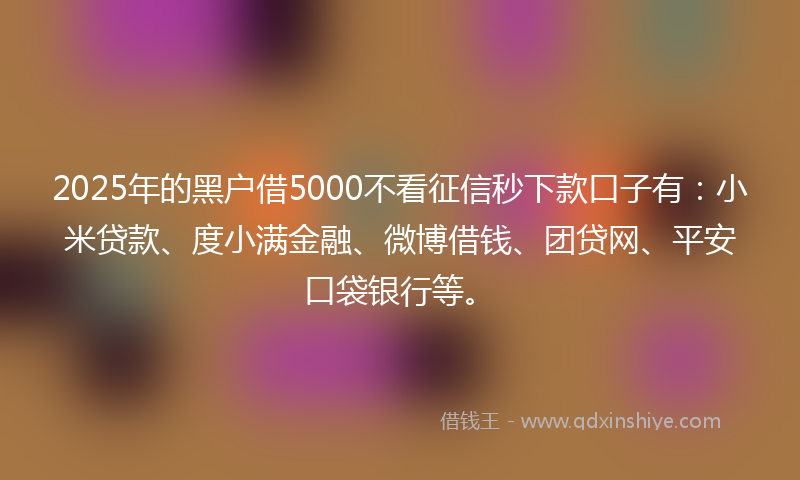 2025年的黑户借5000不看征信秒下款口子有：小米贷款、度小满金融、微博借钱、团贷网、平安口袋银行等。