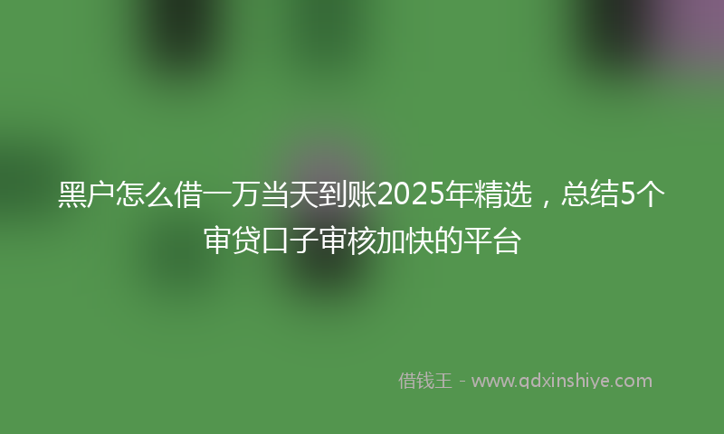 黑户怎么借一万当天到账2025年精选，总结5个审贷口子审核加快的平台