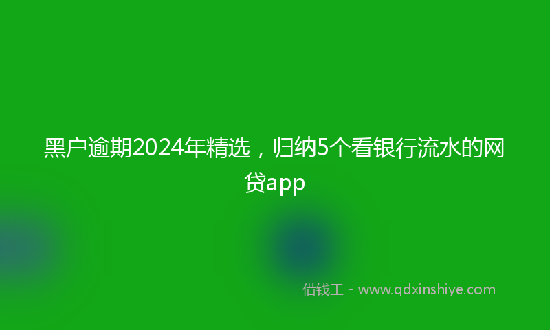 黑户逾期2024年精选，归纳5个看银行流水的网贷app