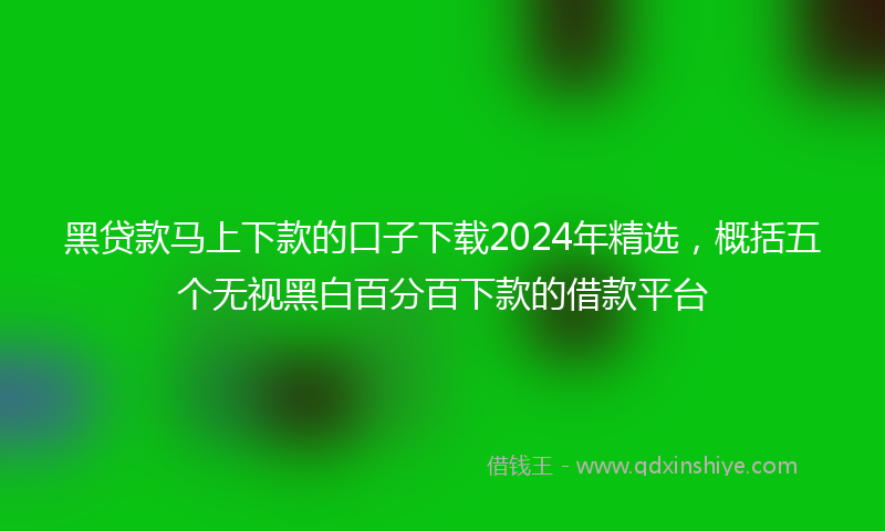 黑贷款马上下款的口子下载2024年精选，概括五个无视黑白百分百下款的借款平台