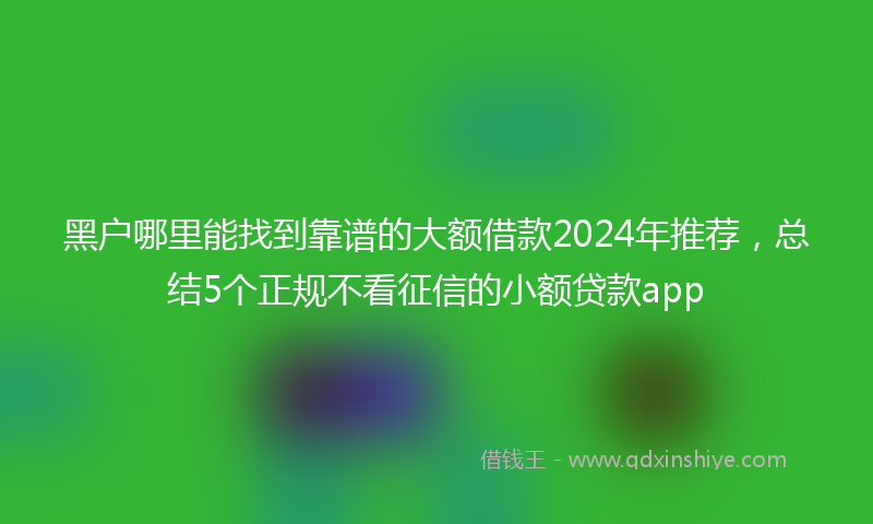 黑户哪里能找到靠谱的大额借款2024年推荐，总结5个正规不看征信的小额贷款app