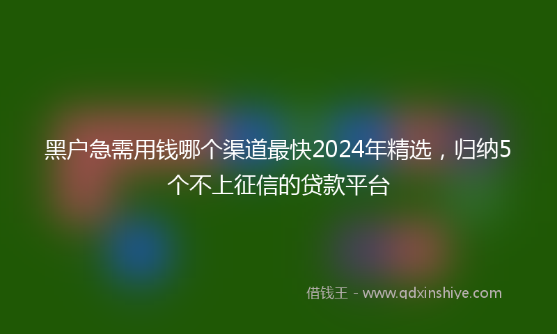 黑户急需用钱哪个渠道最快2024年精选，归纳5个不上征信的贷款平台