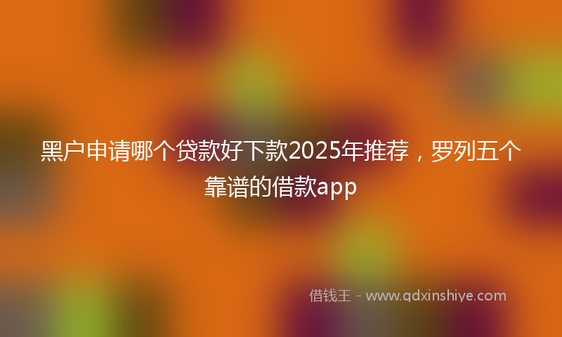 黑户申请哪个贷款好下款2025年推荐，罗列五个靠谱的借款app