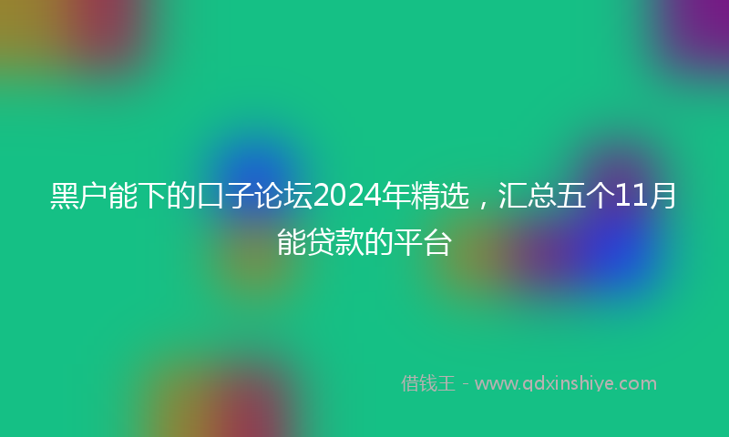 黑户能下的口子论坛2024年精选，汇总五个11月能贷款的平台