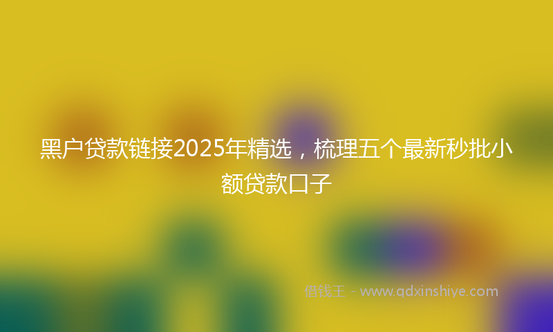 黑户贷款链接2025年精选，梳理五个最新秒批小额贷款口子