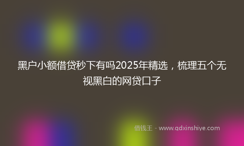 黑户小额借贷秒下有吗2025年精选，梳理五个无视黑白的网贷口子