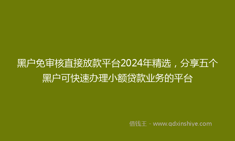 黑户免审核直接放款平台2024年精选，分享五个黑户可快速办理小额贷款业务的平台