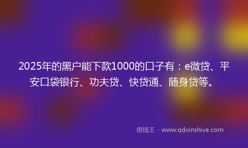 2025年的黑户能下款1000的口子有：e微贷、平安口袋银行、功夫贷、快贷通、随身贷等。