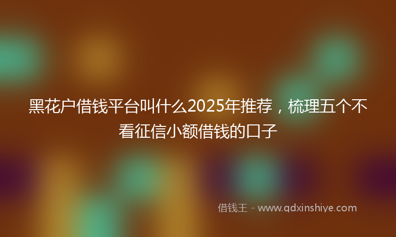 黑花户借钱平台叫什么2025年推荐，梳理五个不看征信小额借钱的口子