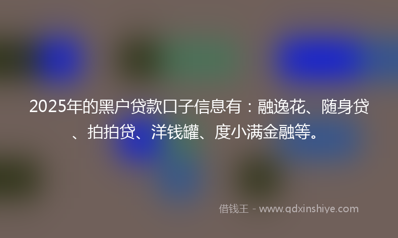 2025年的黑户贷款口子信息有：融逸花、随身贷、拍拍贷、洋钱罐、度小满金融等。