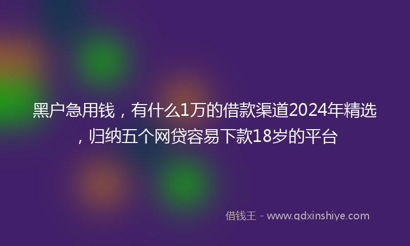 黑户急用钱，有什么1万的借款渠道2024年精选，归纳五个网贷容易下款18岁的平台