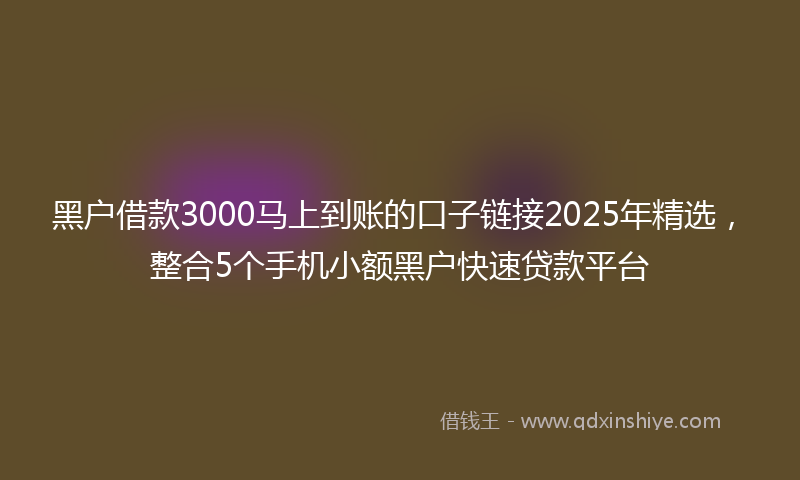 黑户借款3000马上到账的口子链接2025年精选，整合5个手机小额黑户快速贷款平台