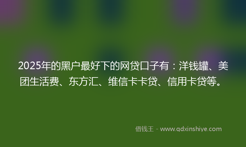 2025年的黑户最好下的网贷口子有：洋钱罐、美团生活费、东方汇、维信卡卡贷、信用卡贷等。