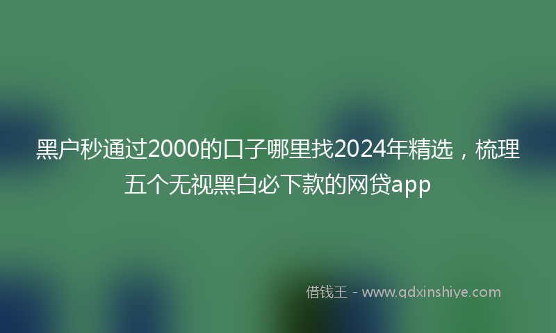 黑户秒通过2000的口子哪里找2024年精选，梳理五个无视黑白必下款的网贷app