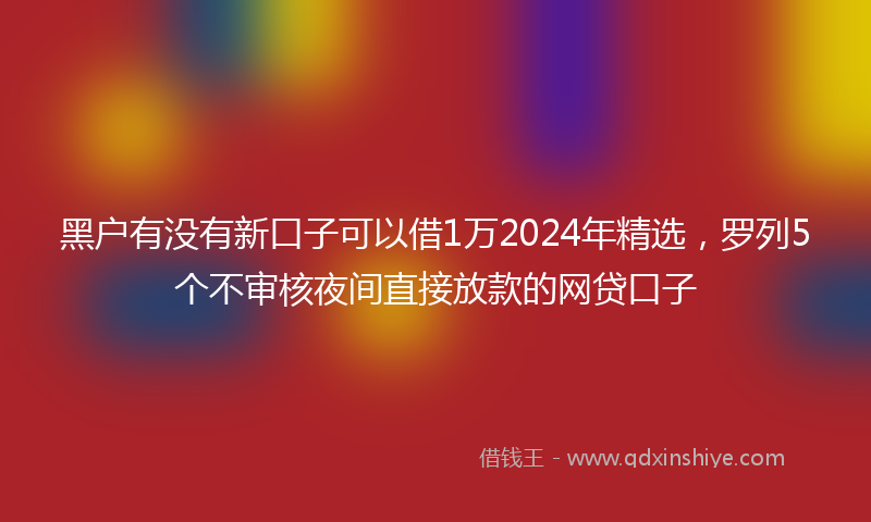 黑户有没有新口子可以借1万2024年精选，罗列5个不审核夜间直接放款的网贷口子